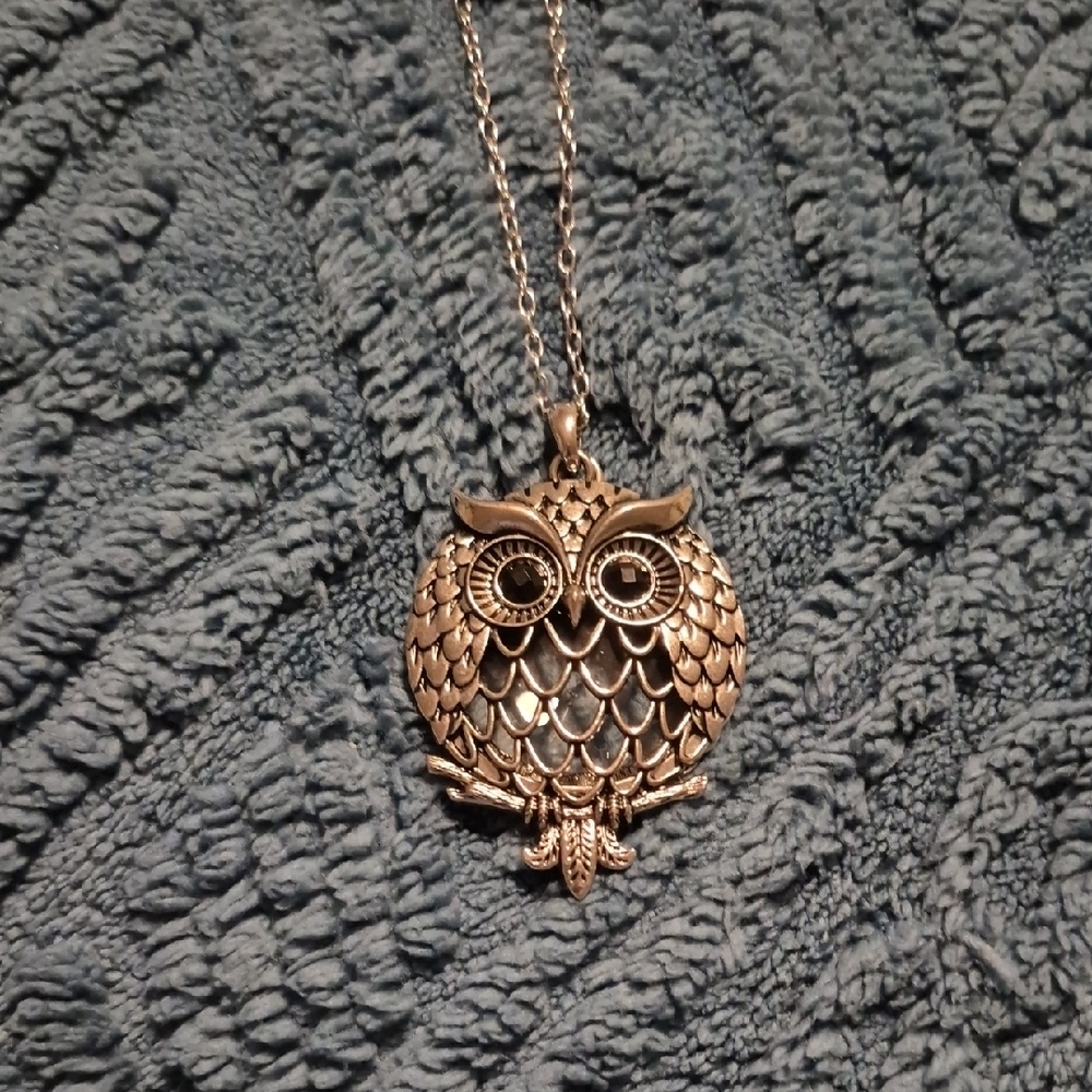 Artisan Owl Magnifying Glass Necklace